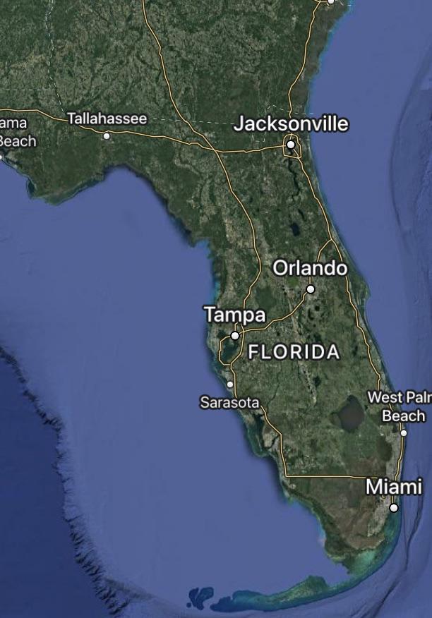 ProActive Investments Location